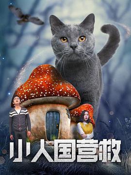 青木玲中文字幕一区二区