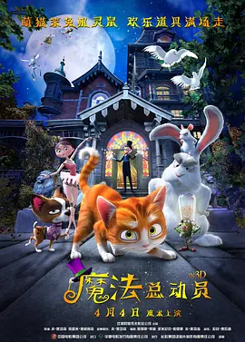 亚洲视频在线观看地址