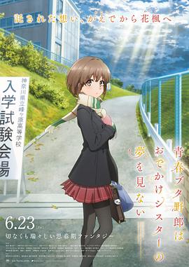 探花小宝