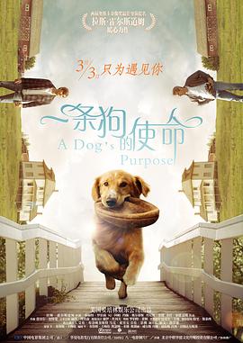 一级黄色片中文字幕
