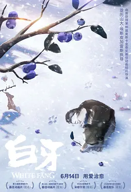 上官家族的霞姐