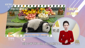 久久久一级片